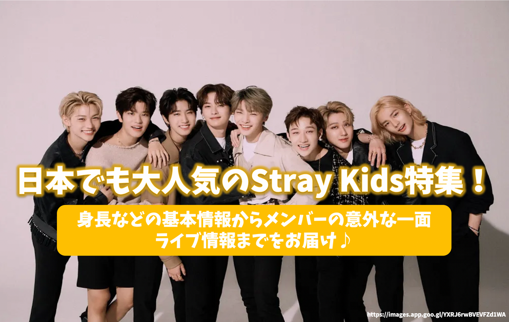 straykids 2nd写真集 シーグリ2021 stay2期セット 3点 2022-10-18_11.47.22_1200x630.