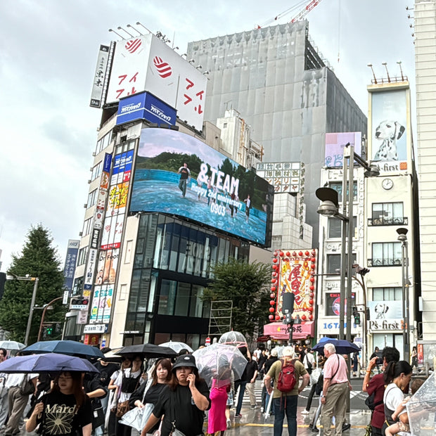[&TEAM] Cross Shinjuku Vision Favorite Advertising Case Study (2024/09)