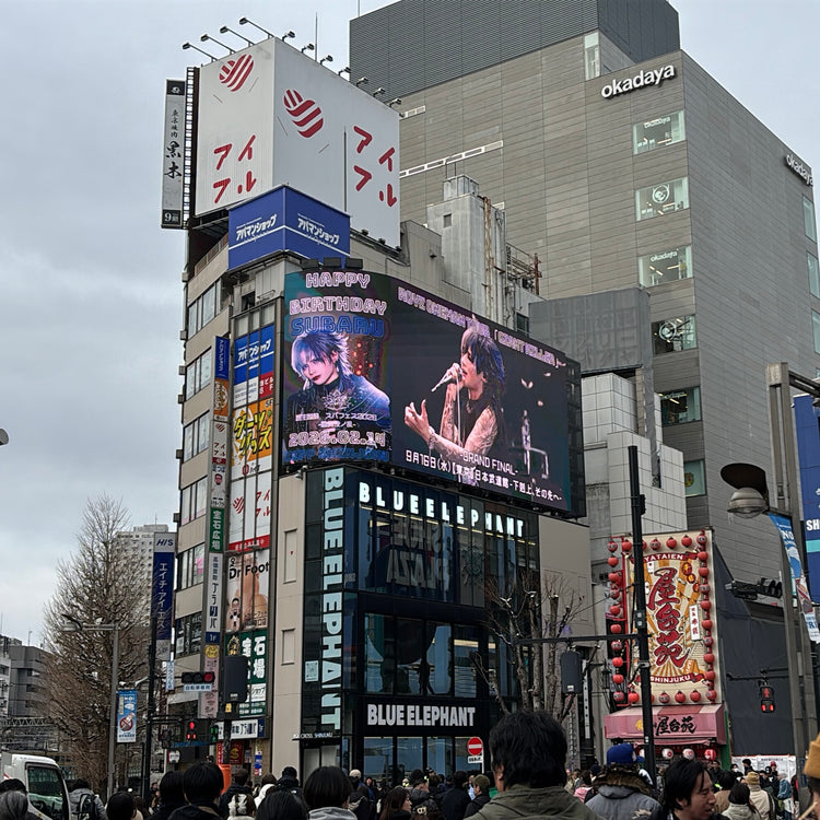 [Royz Subaru] Shinjuku Cross Shinjuku Vision push advertisement example (2026/2)