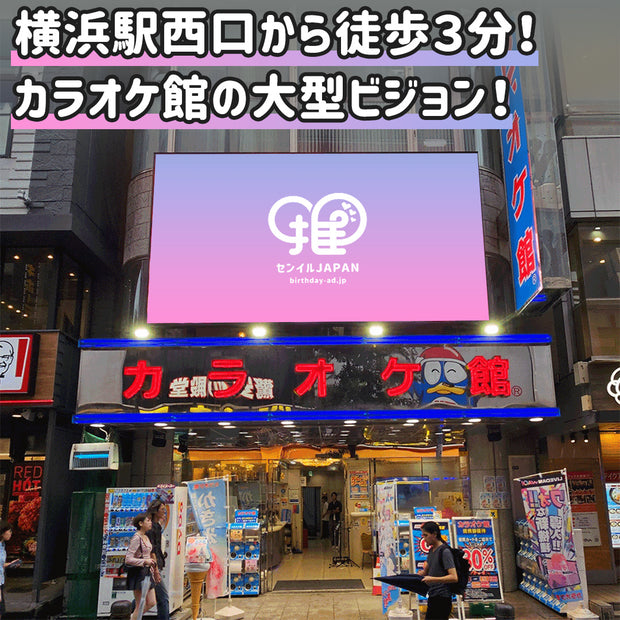 【横浜】カラ館スーパービジョン横浜西口店