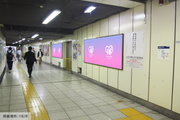 [Tokyo Metro Shinjuku Station] B0/B1 poster