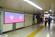 [Tokyo Metro Shinjuku Station] B0/B1 poster