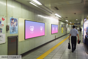 [Tokyo Metro Meiji Jingumae <Harajuku> Station] B0/B1 poster