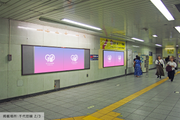 [Tokyo Metro Meiji Jingumae <Harajuku> Station] B0/B1 poster