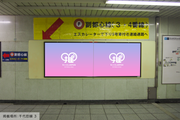 [Tokyo Metro Meiji Jingumae <Harajuku> Station] B0/B1 poster