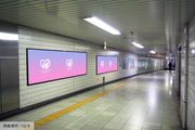 [Tokyo Metro Nogizaka Station] B0/B1 poster