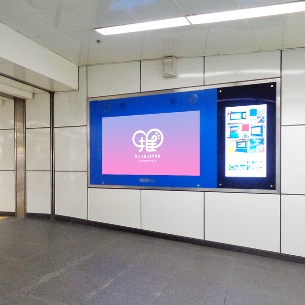 [Nagoya Station/Sakae Station] ChikaVision (7-sided set)
